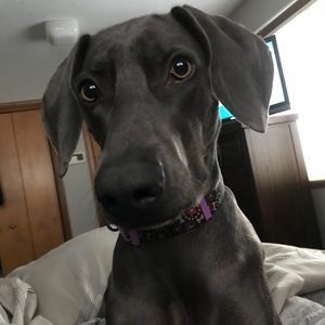 Meet your Posher, Jody